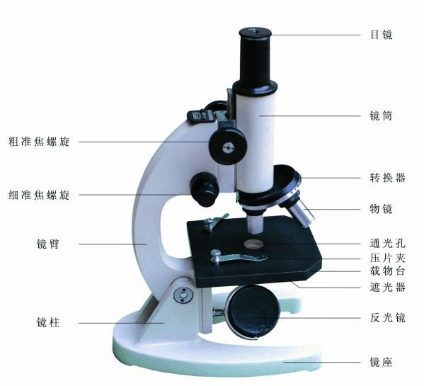 顯微鏡FCC認(rèn)證